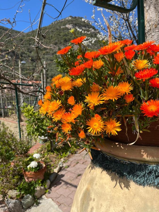 Rocca Di Corno Guest House Finale Ligure Dış mekan fotoğraf